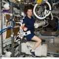 Lo Space Shuttle Discovery ha attraccato al modulo pressurizzato PMA-2 alle ore 2:14 am EST, ma tutti i ganci di serraggio si sono chiusi intorno...