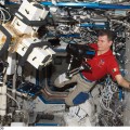 ALTEA compie sei anni sulla ISS L’esperimento italiano ALTEA compie 6 anni di attività a bordo della Stazione Spaziale Internazionale. Successore di Sileye1 e Sileye2 sulla stazione russa MIR, ma anche di Alteino/Sileye3 sulla ISS...