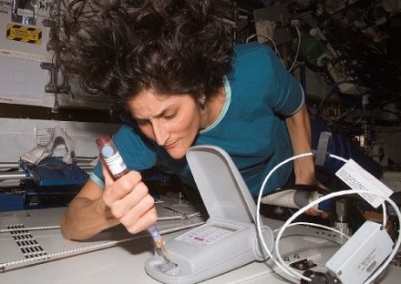 Sunita Williams mentre raccoglie campioni di materiale