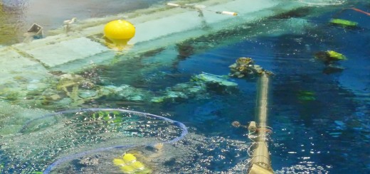 Il braccio robotico Canadarm 2 nel NBL del JSC. Fonte: Samantha Cristoforetti