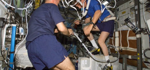 Thomas Reiter esegue una Periodic Fitness Assessment sul cicloergometro CEVIS della ISS. Credit: NASA