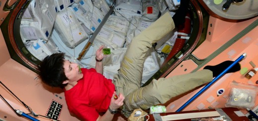 Samantha Cristoforetti mangia gli sparagi reidratati nel Nodo 1. Credit: ESA/NASA