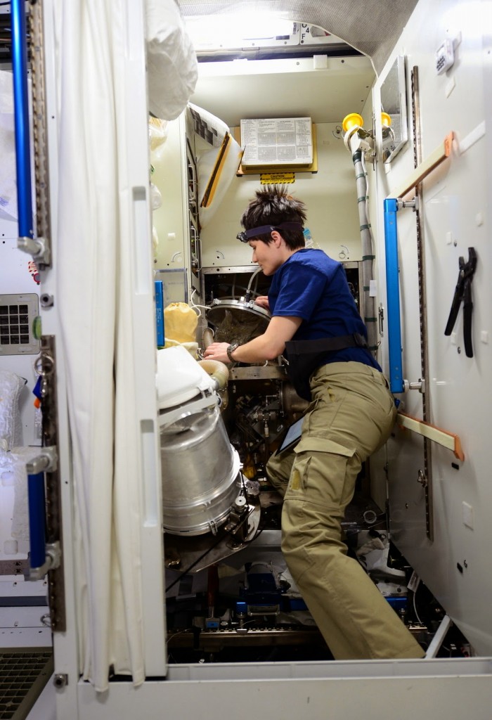 Samantha Cristoforetti rabbocca l'acqua di scarico della toilette del Nodo 3. Credit: ESA/NASA