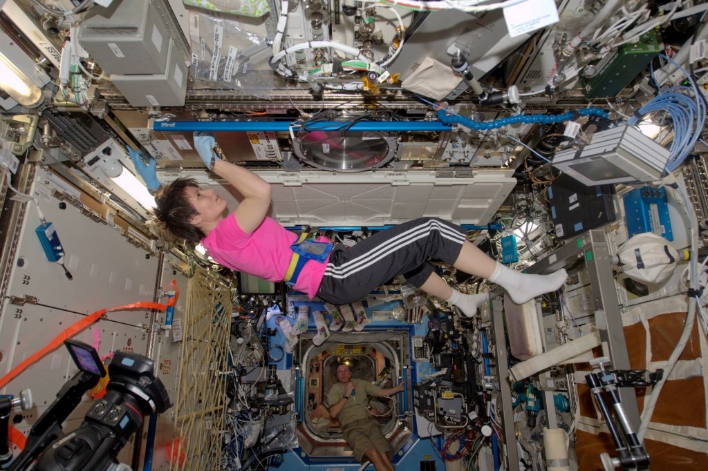 Samantha Cristoforetti sostituisce una cartuccia del rack MSL nel laboratorio Destiny. Credit: ESA/NASA