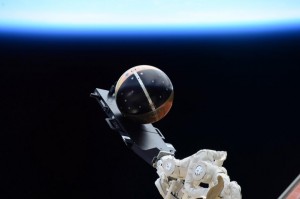 Il satellite SpinSat prima del suo rilascio dal lanciatore Cyclops all'esterno della ISS Credit: NASA