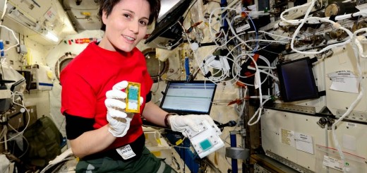 Samantha Cristoforetti con una cassetta di moscerini della frutta dell'esperimento Fruit Flies Lab. Credit: ESA NASA
