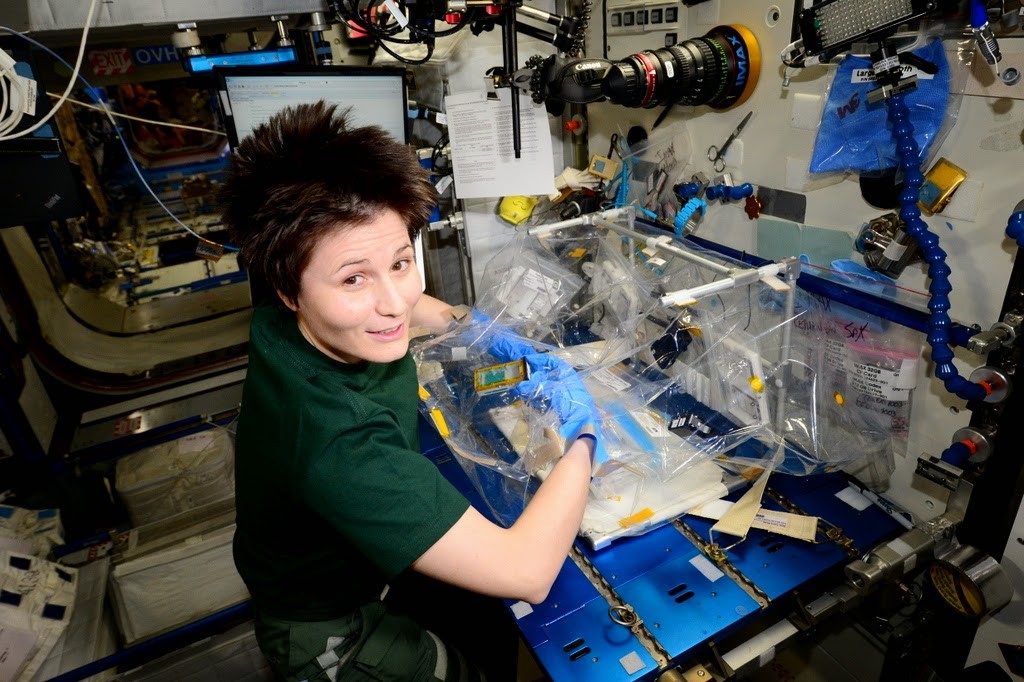 Samantha Cristoforetti lavora all'esperimento Fruit Fly Lab con i moscerini della frutta. Credit: ESA/NASA