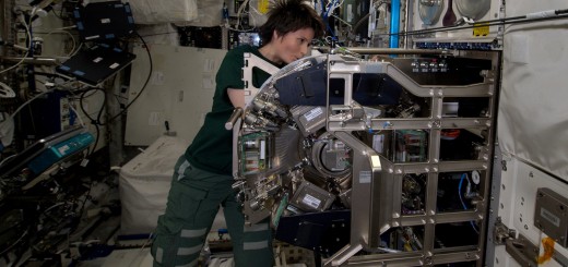 Samantha Cristoforetti effettua la manutenzione del Biolab nel modulo Columbus. Credit: ESA/NASA