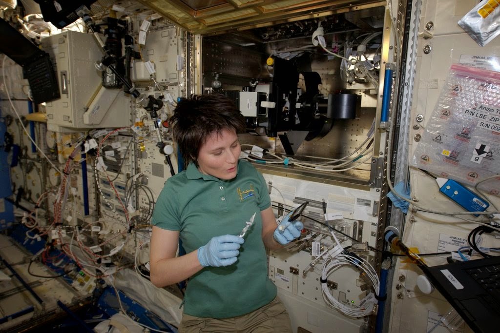 Samantha Cristoforetti lavora all'esperimento Aniso Tubule. Credit: ESA/NASA