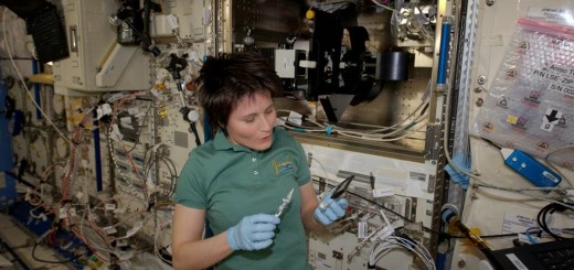 Samantha Cristoforetti lavora all'esperimento Aniso Tubule. Credit: ESA/NASA