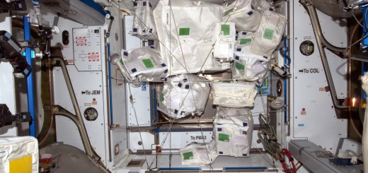 Il cono all'estremità di Columbus con le borse da riportare a terra con Dragon SpX-6. Credit: ESA/NASA