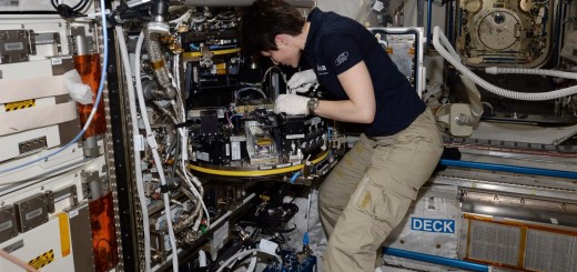 Samantha Cristoforetti lavora con il Modular Cultivation System di Columbus. Credit: ESA/NASA