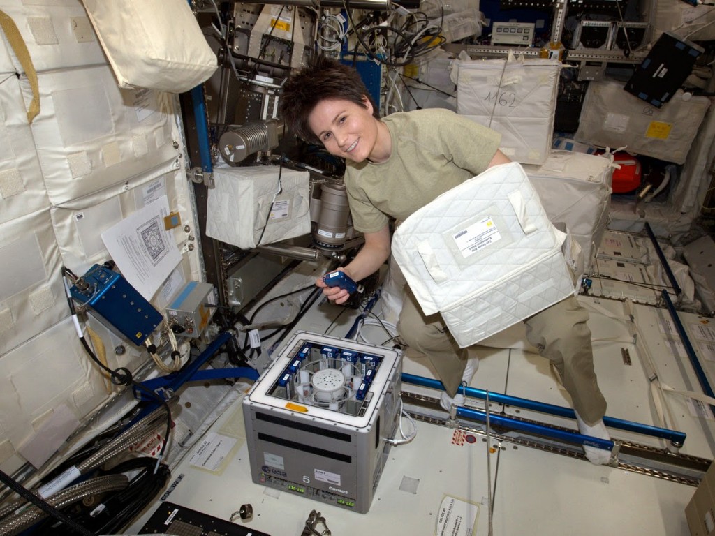 Samantha Cristoforetti al lavoro su una centrifuga-incubatrice Kubik. Credit: ESA/NASA