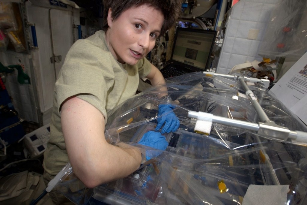 Samantha Cristoforetti lavora all'esperimento Osteo-4 in una scatola a guanti. Credit: ESA/NASA