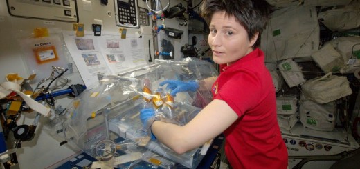 Samantha Cristoforetti lavora all'esperimento Osteo-4 in una scatola a guanti. Credit: ESA/NASA