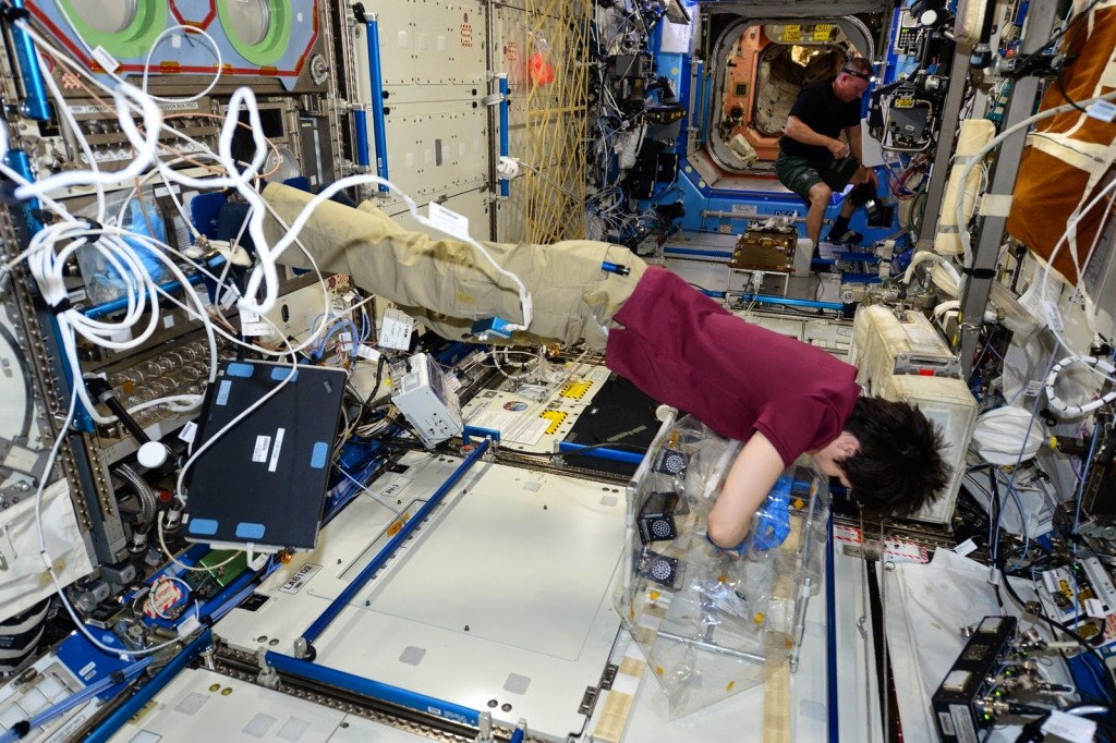 Samantha Cristoforetti con una scatola a guanti portatile. Credit: ESA/NASA