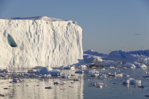 NordForsk: TFI - "Chages of the Greenland Cryosphere" and "SVALI final conference". Ilulissat Greenland June 2-5 2015